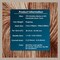 KnitPro Symfonie Premium Hand-Dyed Merino Wool & Polyamide Sock Yarns|Terra Variegated Colors